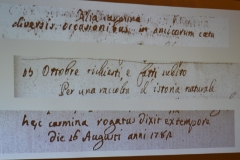 matica-braticevicGAL6